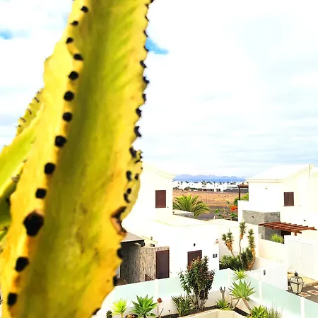 Villa With Heated Pool & Jacuzzi *